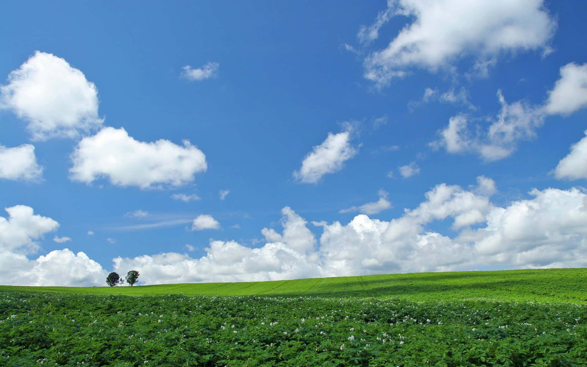 Sky Background Green Field