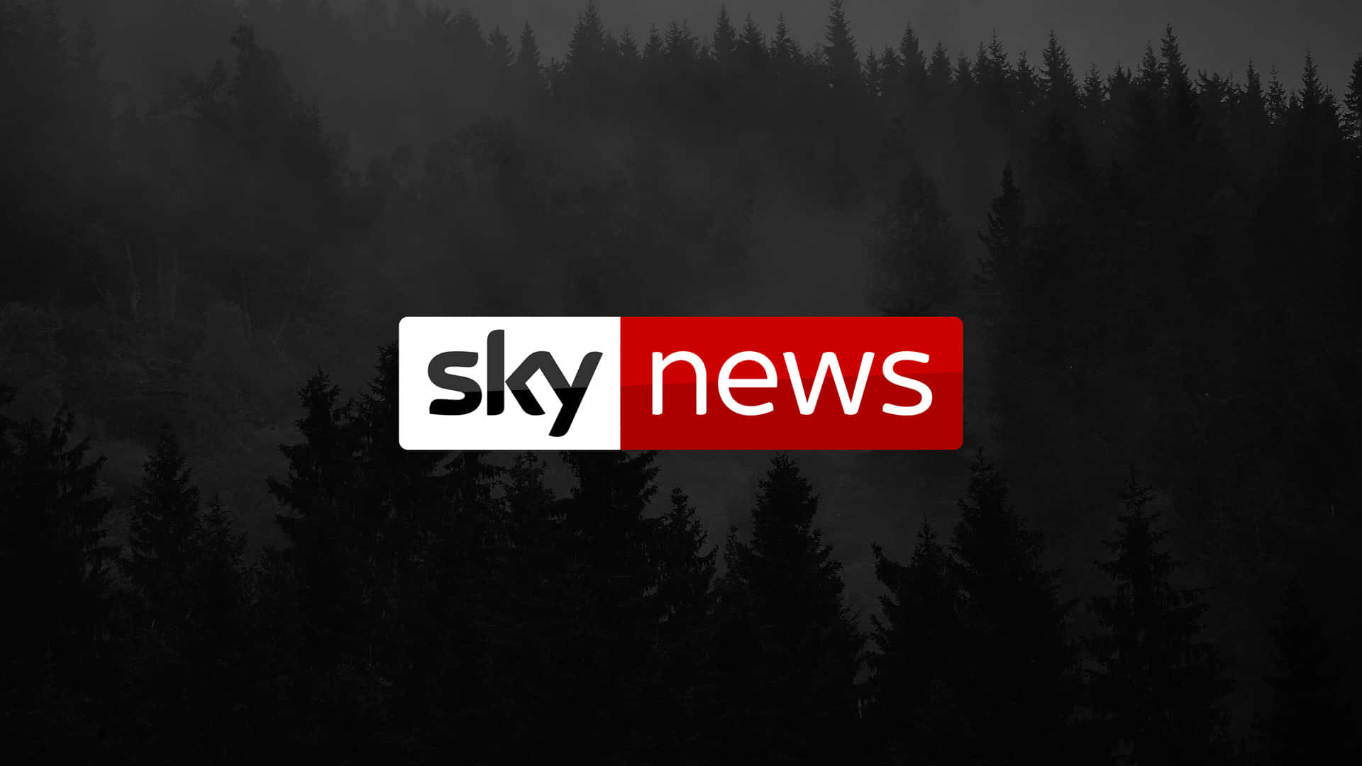 Sky News Dark Forest Wallpaper