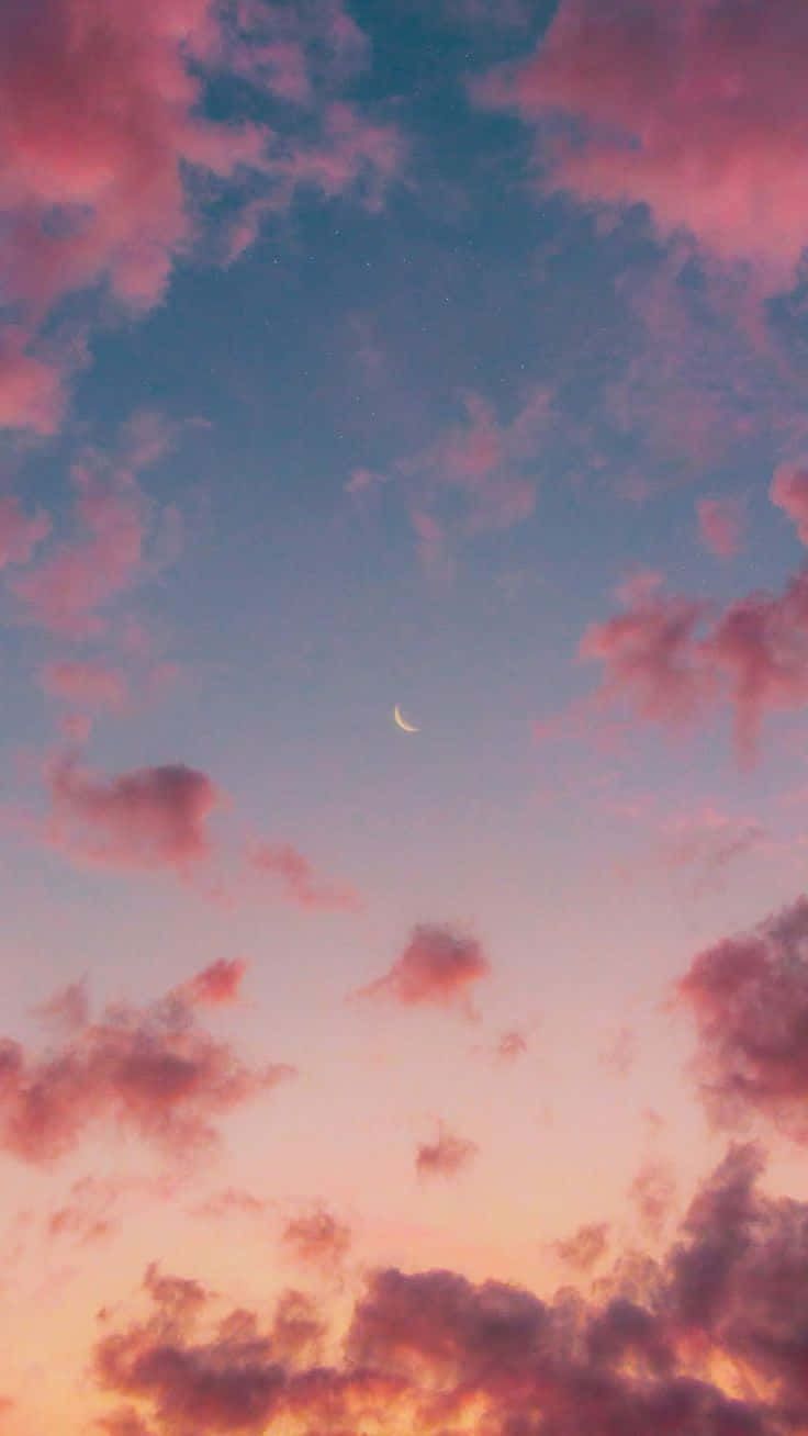 Pink And Blue Sky Pictures