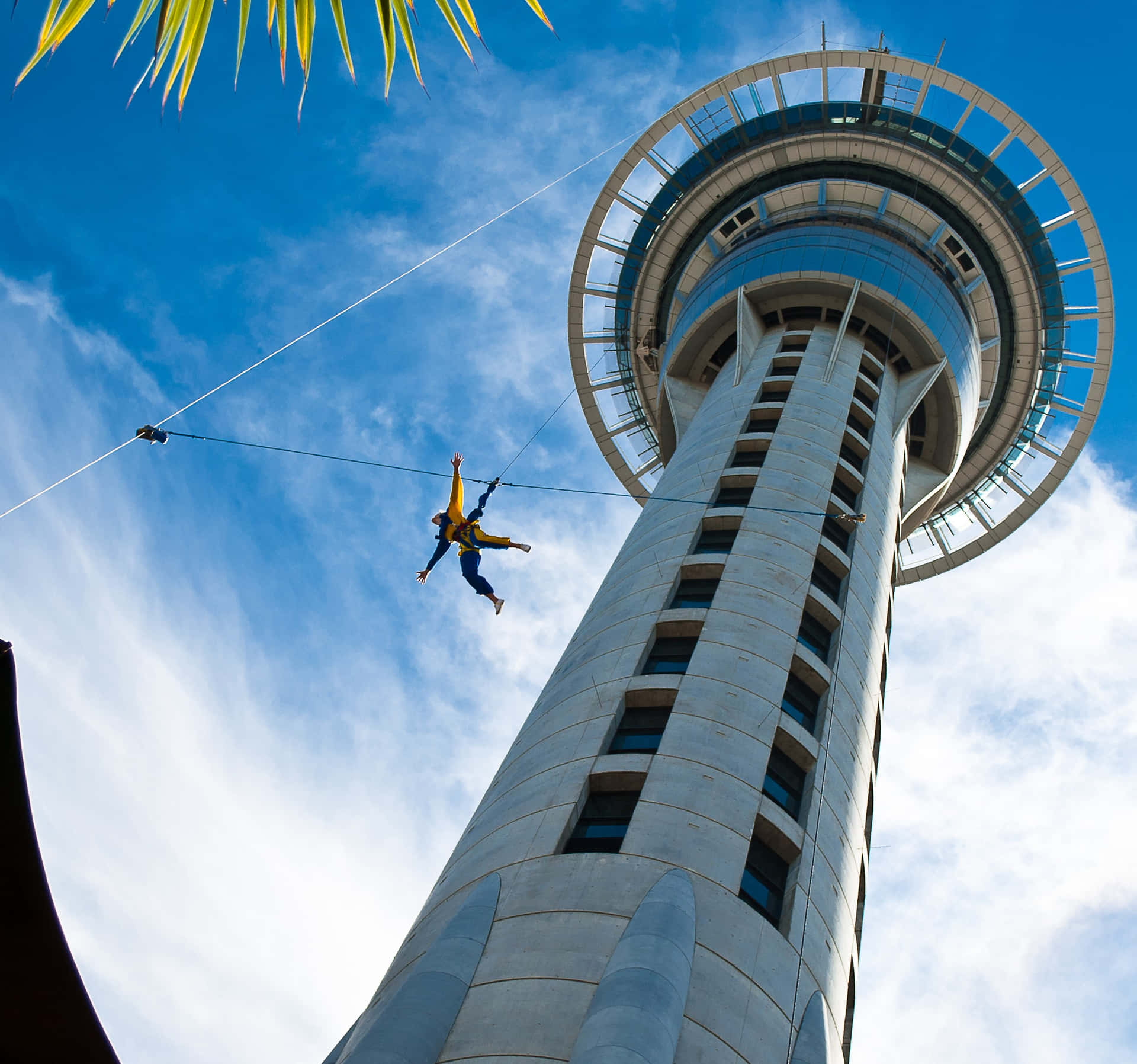 Sky Tower Auckland Base Jump Wallpaper