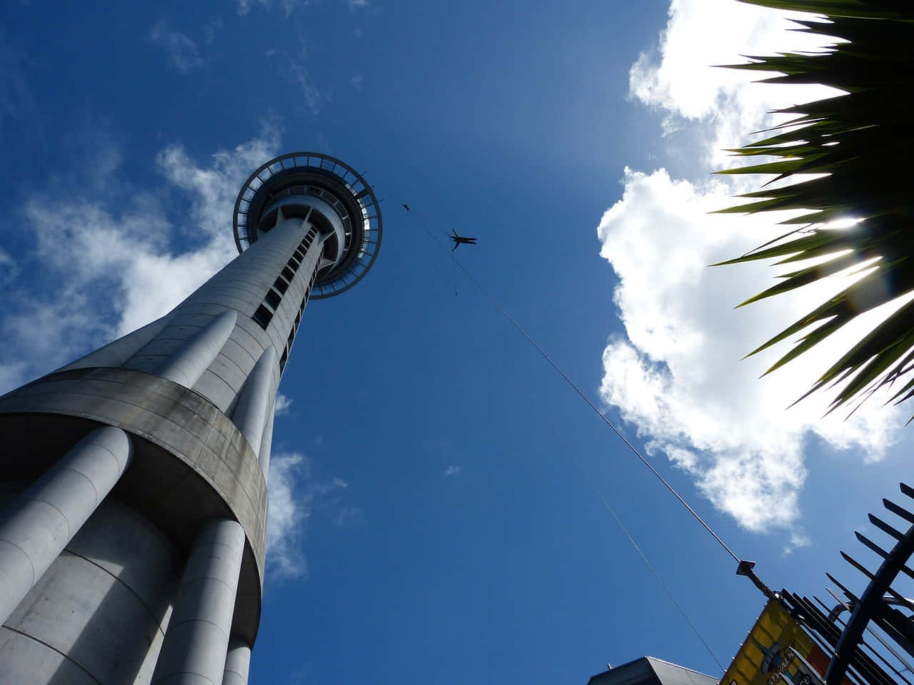 Sky Tower Auckland Bunn Utsikt Bakgrunnsbildet