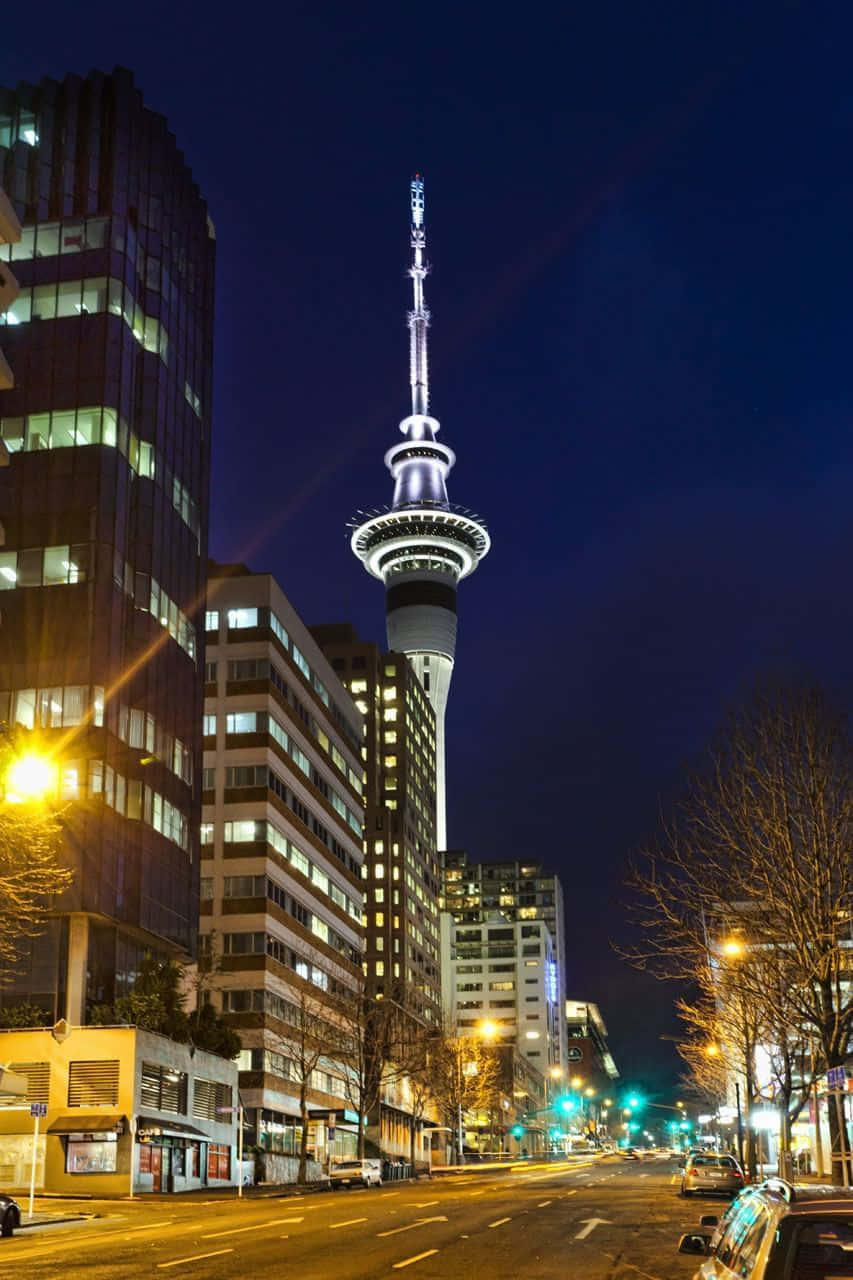 Sky Tower Auckland Night View Wallpaper