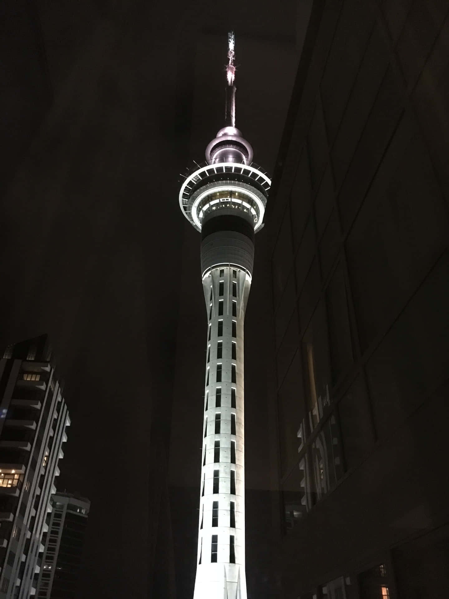 Download Sky Tower Auckland Night View Wallpaper | Wallpapers.com