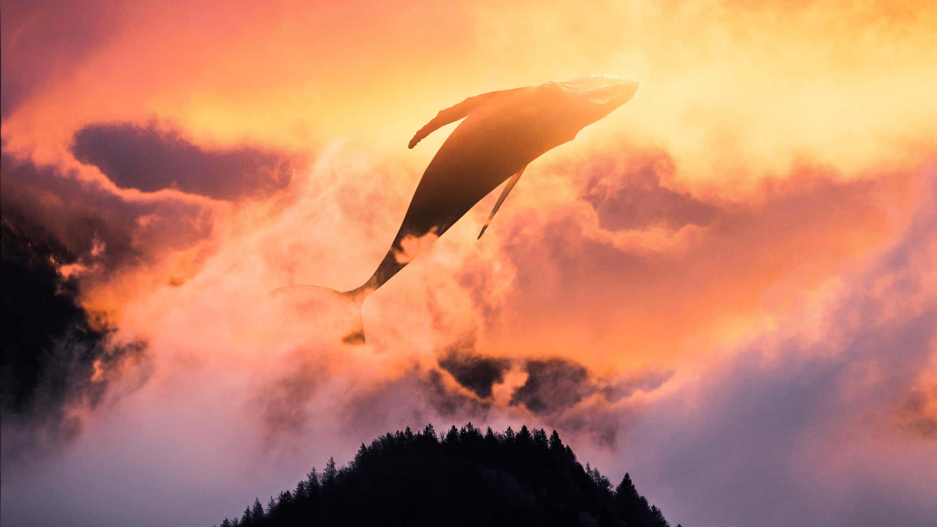 Skybound_ Whale_at_ Dusk Wallpaper