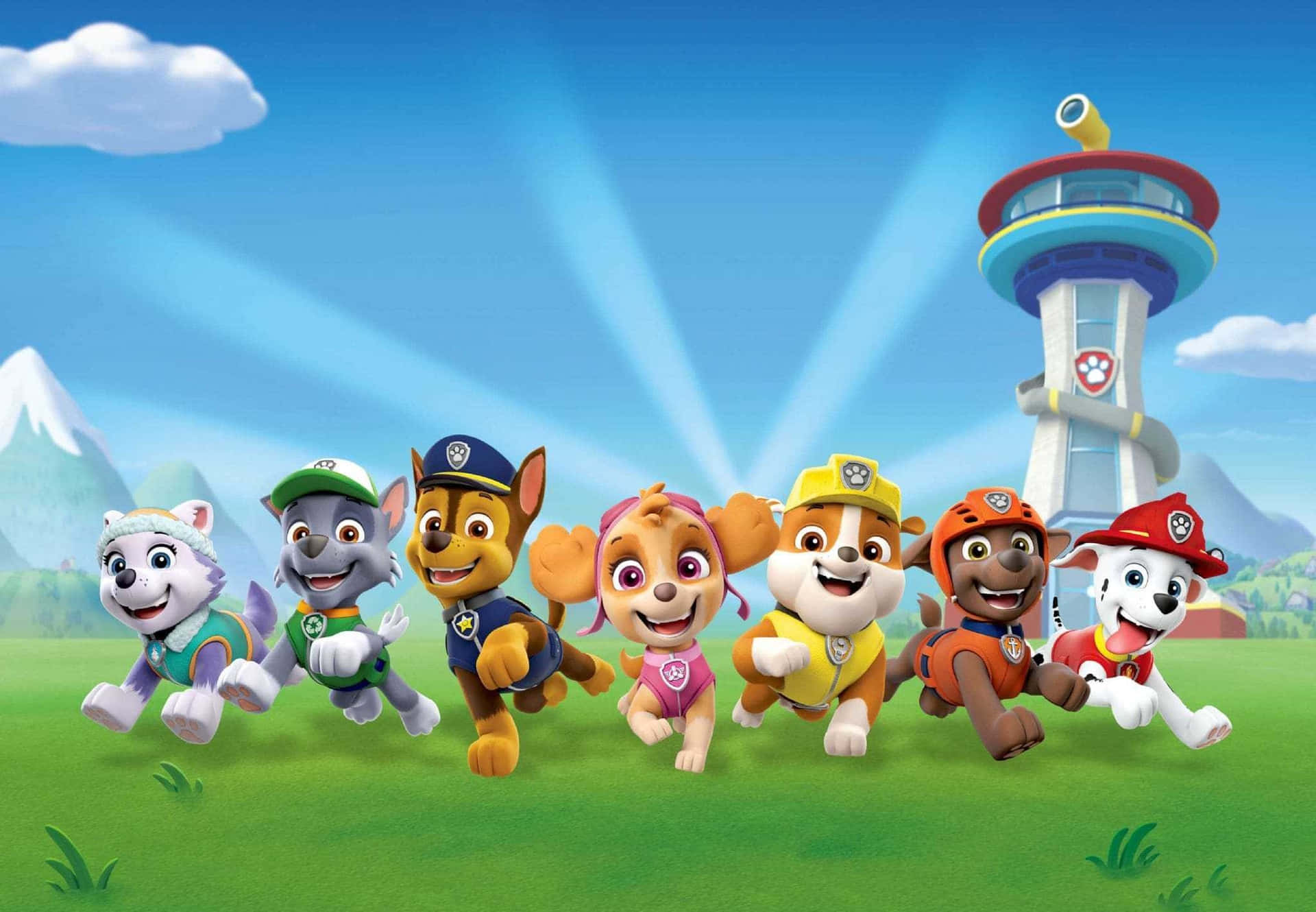 Paw Patrol Wallpapers  Top Free Paw Patrol Backgrounds  WallpaperAccess