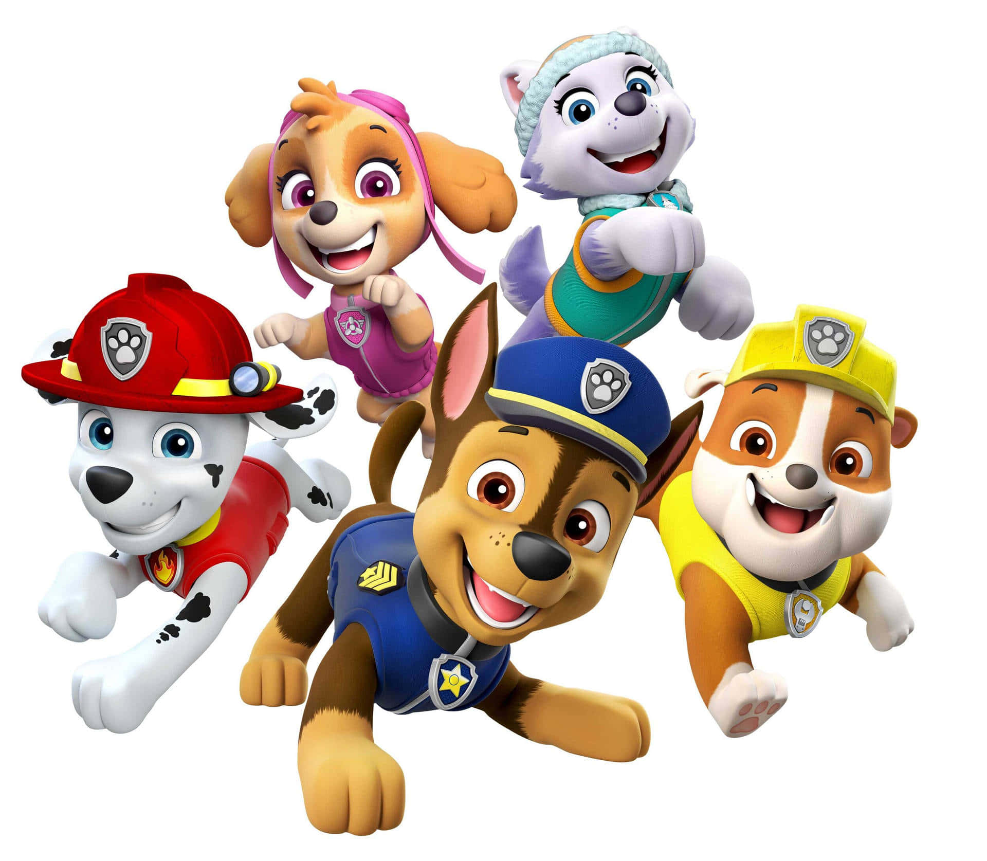 Skye Paw Patrol Puppy Characters White Canvas Wallpaper