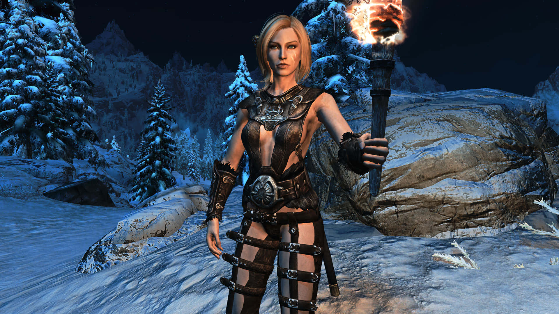 Delphine,la Feroz Y Misteriosa Miembro De Los Blades En The Elder Scrolls V: Skyrim. Fondo de pantalla