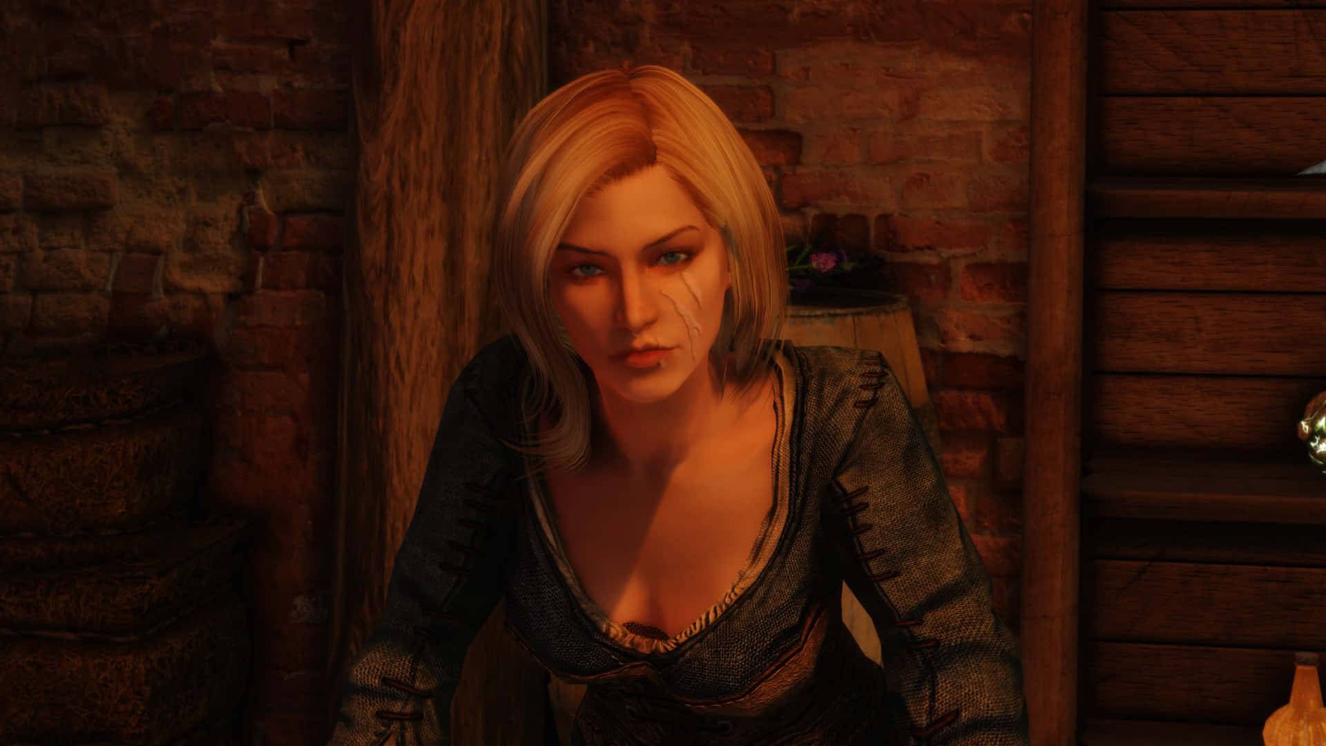 Delphine, the fearless Blade agent in Skyrim Wallpaper