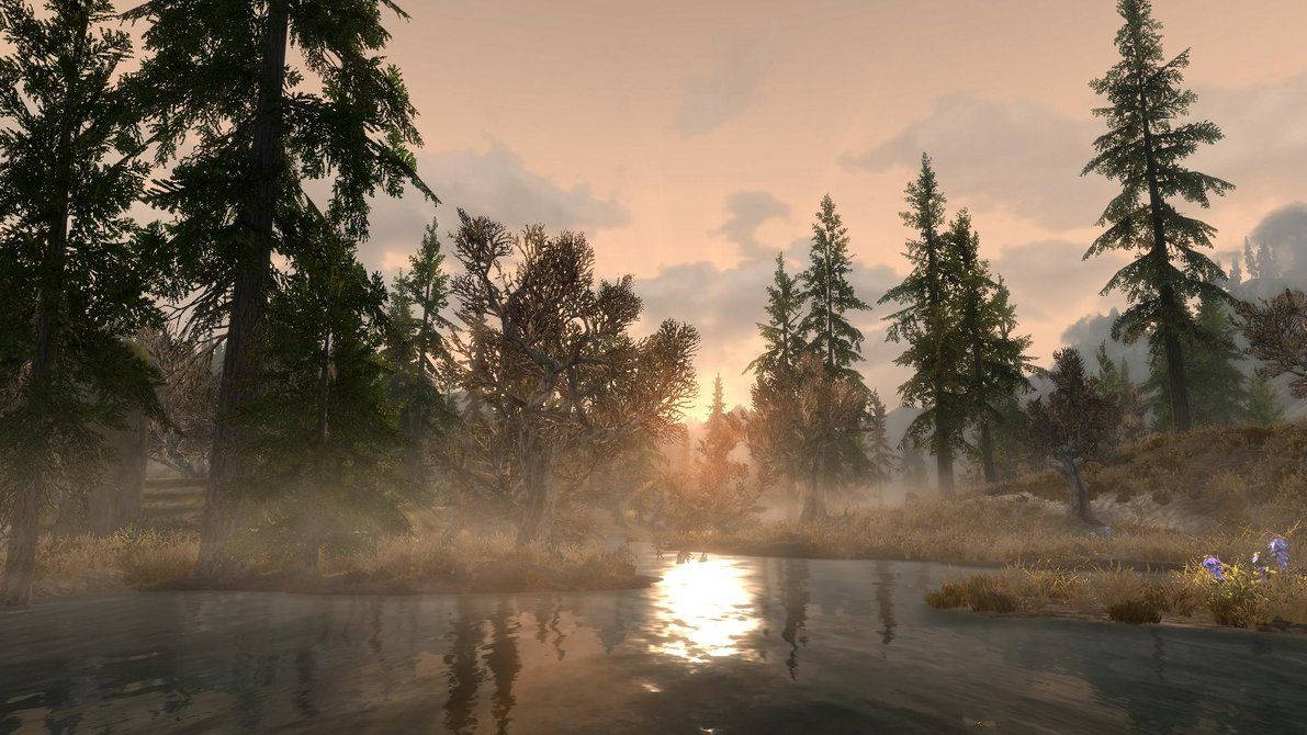 Skyrim Game Forest Scenery Wallpaper