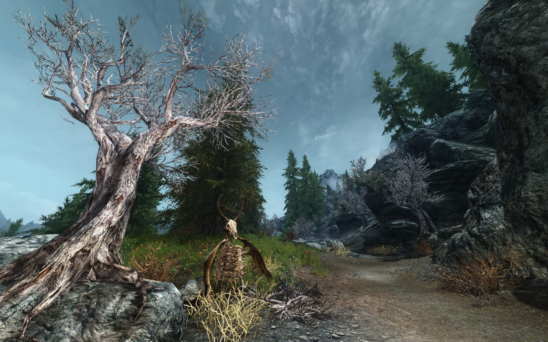 "A magical Skyrim landscape, full of endless mysteries and adventure." Wallpaper