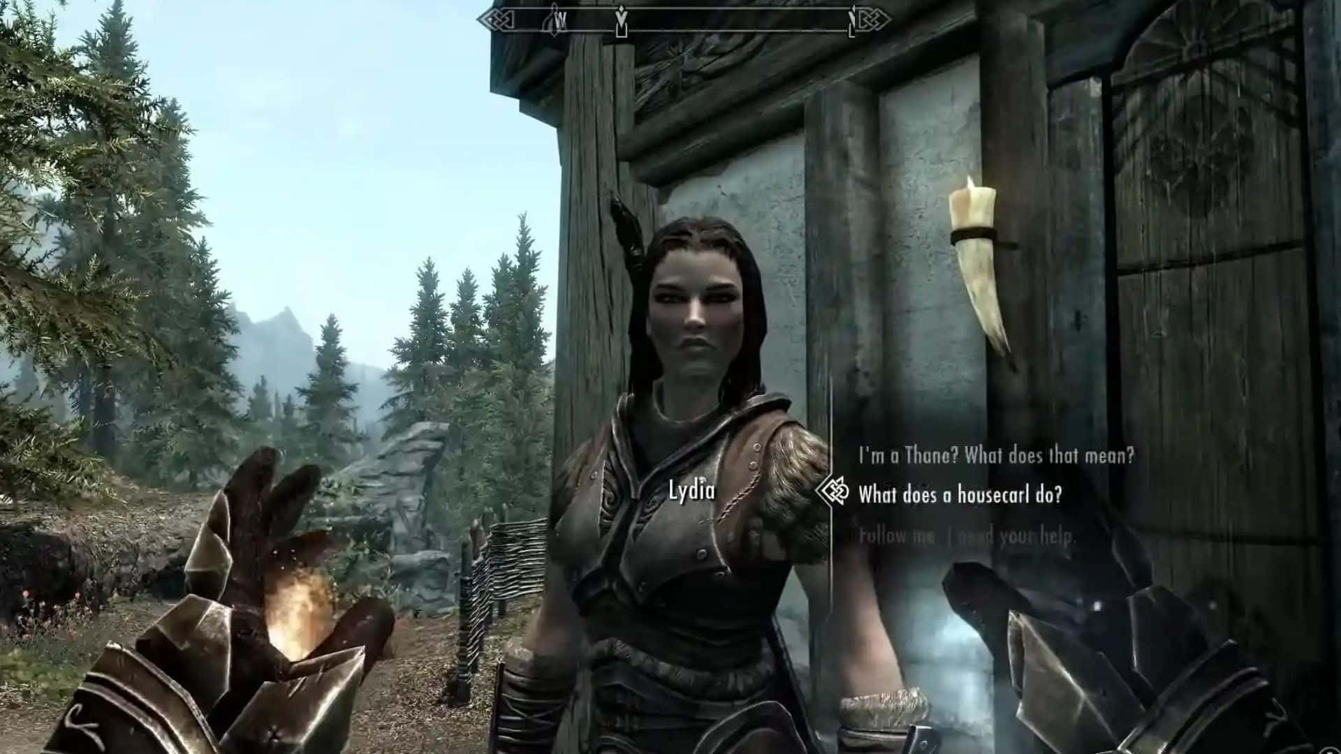 The Loyal Housecarl, Lydia, in the land of Skyrim Wallpaper