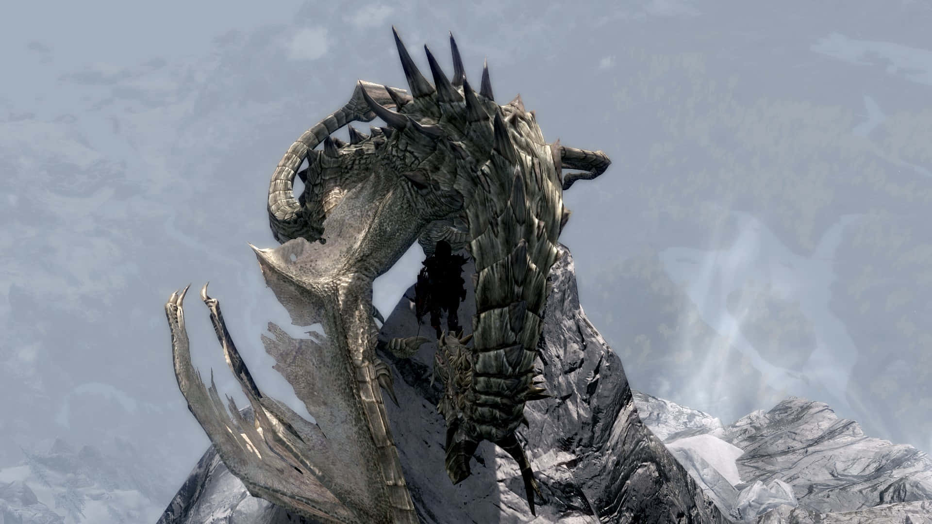 Majestic Paarthurnax perched on the Throat of the World in Skyrim Wallpaper