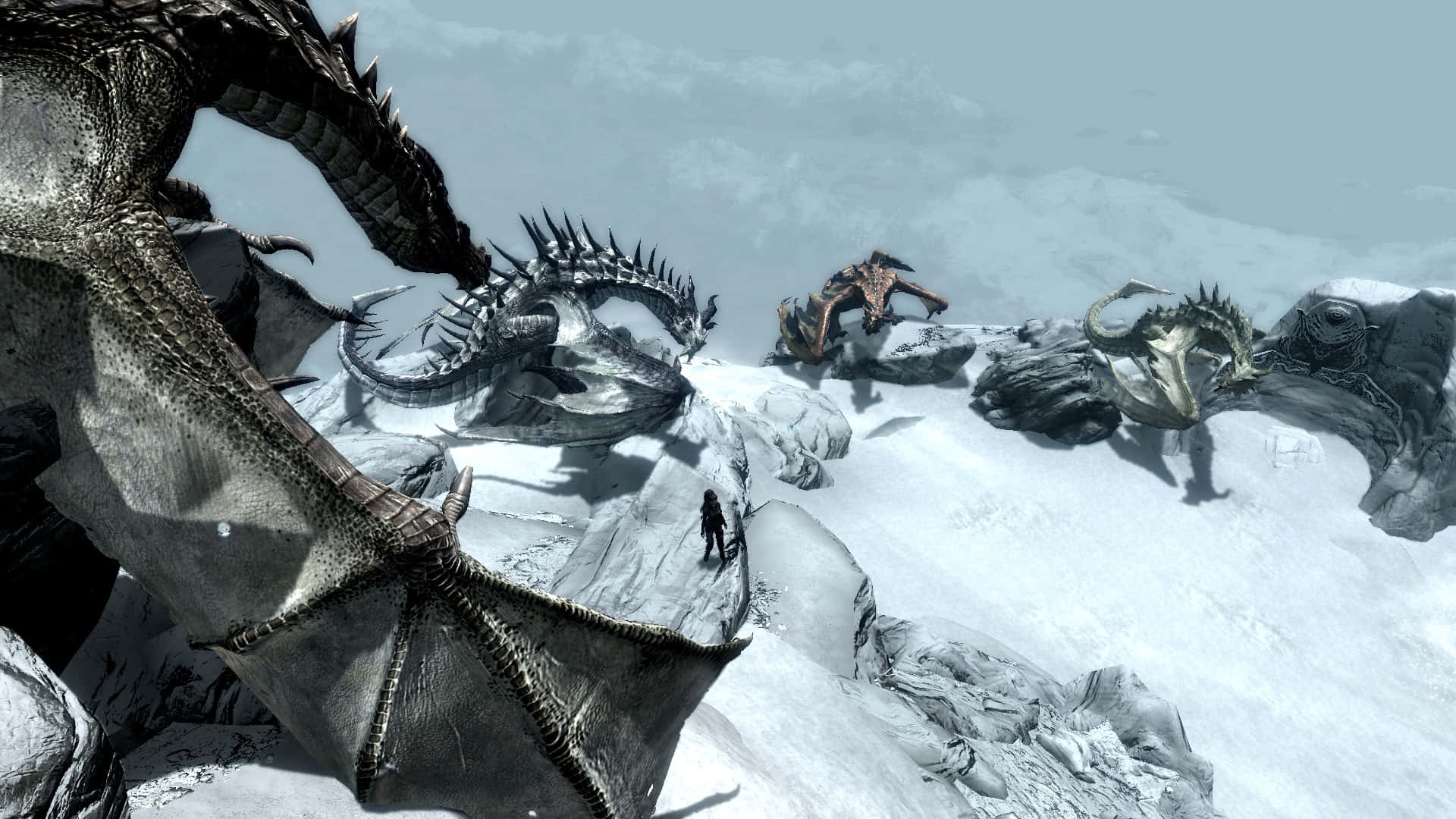 The wise Paarthurnax perched on the Throat of the World in Skyrim Wallpaper