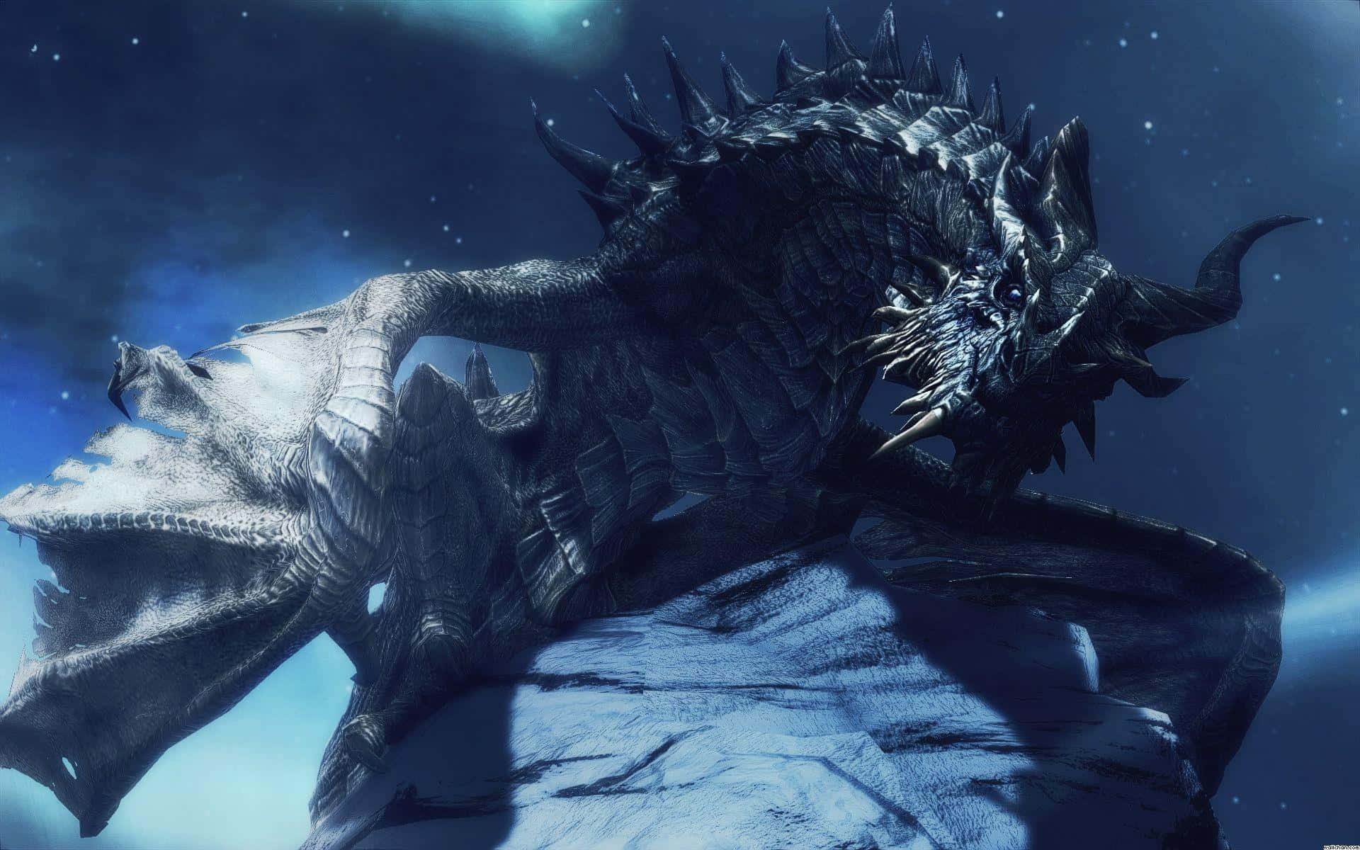 Paarthurnax atop the Throat of the World in Skyrim Wallpaper