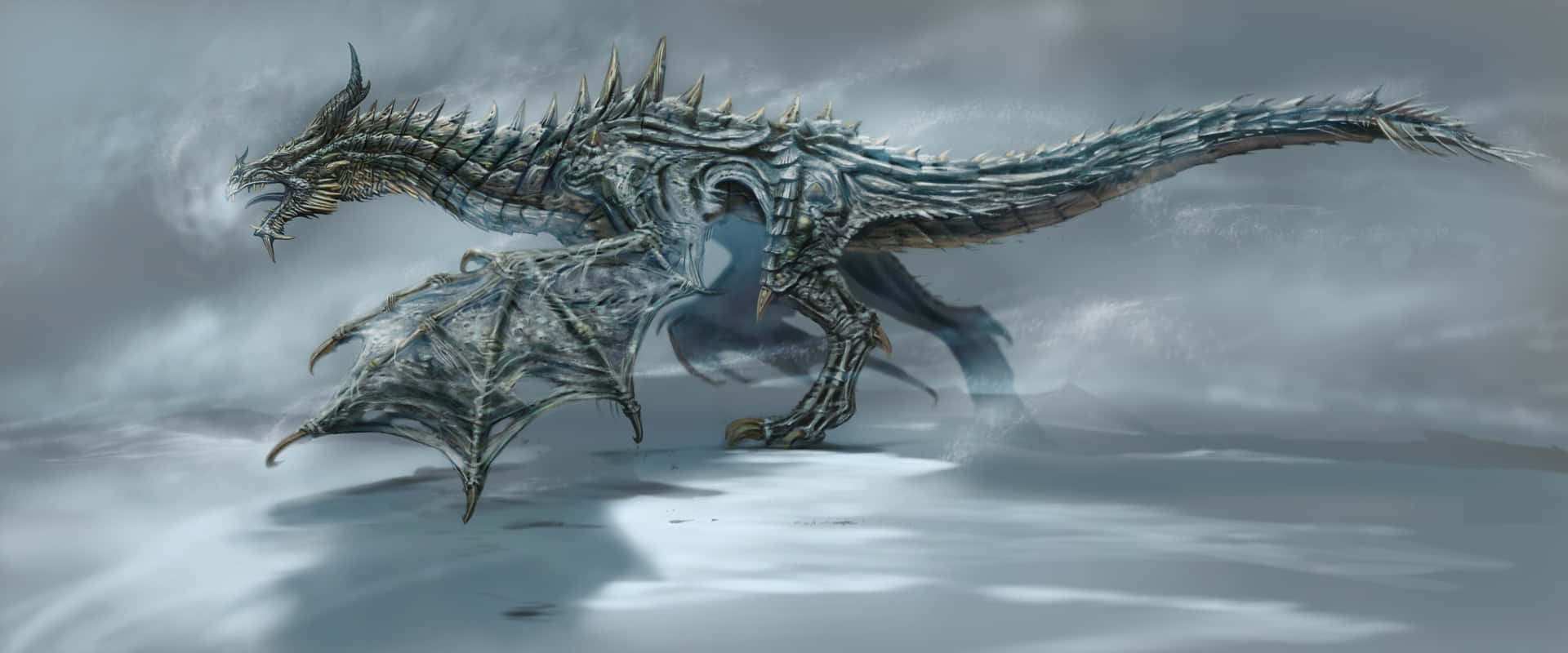 The majestic Paarthurnax perched atop the Throat of the World in Skyrim. Wallpaper