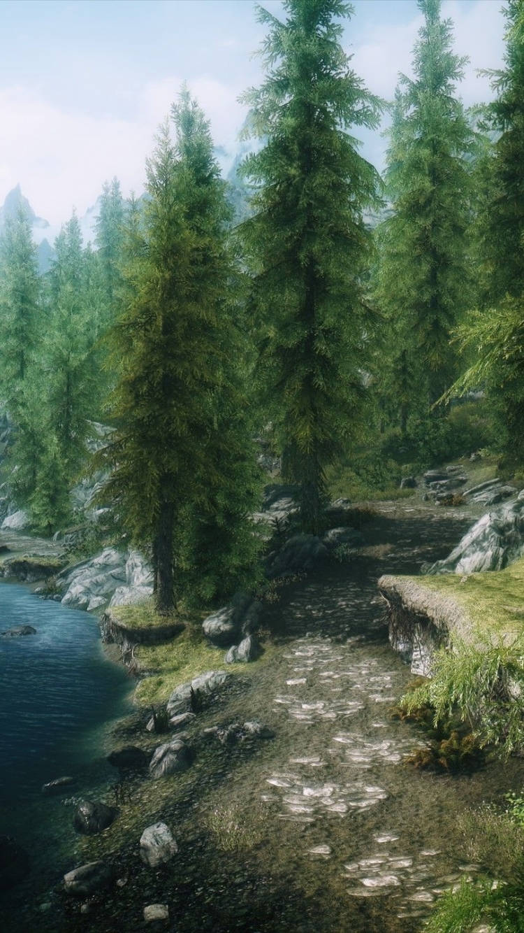 Explore the Amazing World of Skyrim on Your Phone Wallpaper