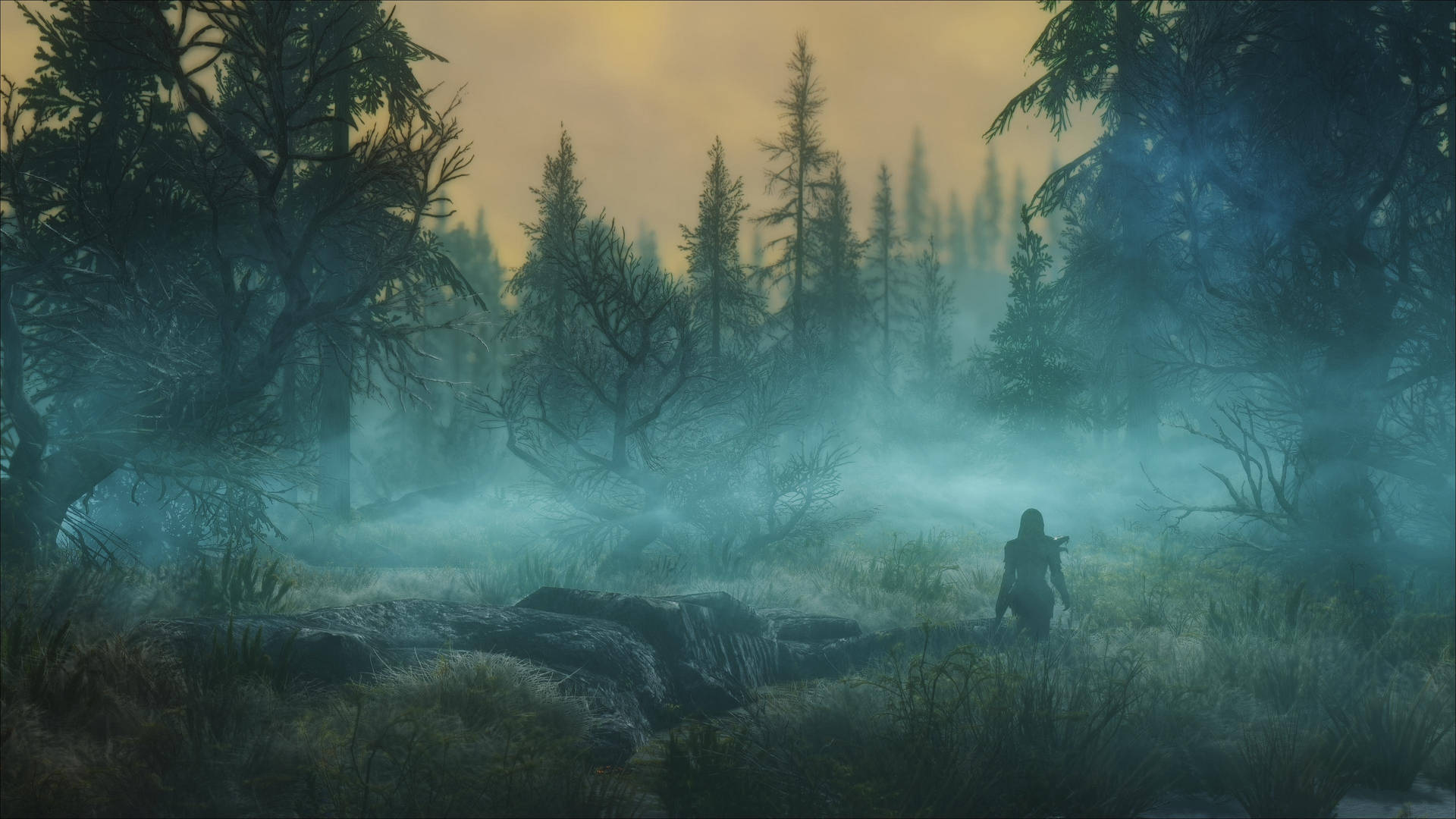 Skyrim Ultra HD Misty Dark Forest Scene Tapet: Skyggefulde mørke skovscene Ultra HD tapet. Wallpaper