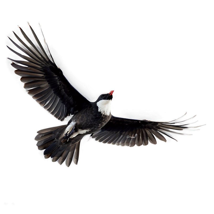 Skyward Bird Flight Png Vtv12 PNG