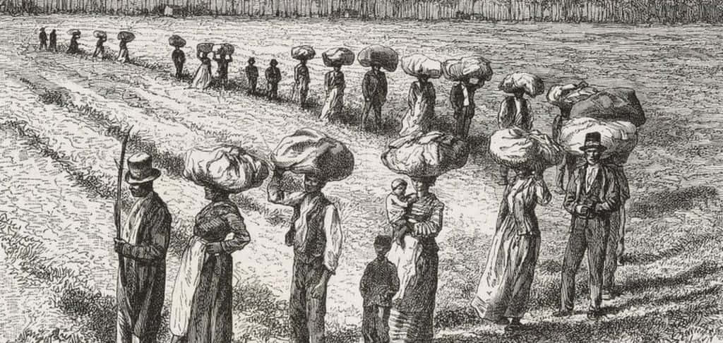 A Drawing Of People In A Field With Bags