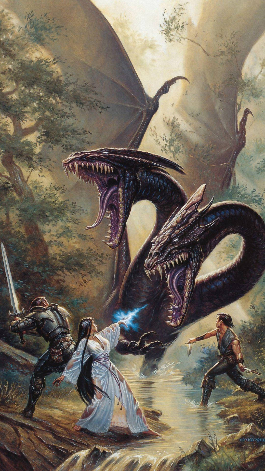 Slaying A Dragon For Iphone Screens Wallpaper