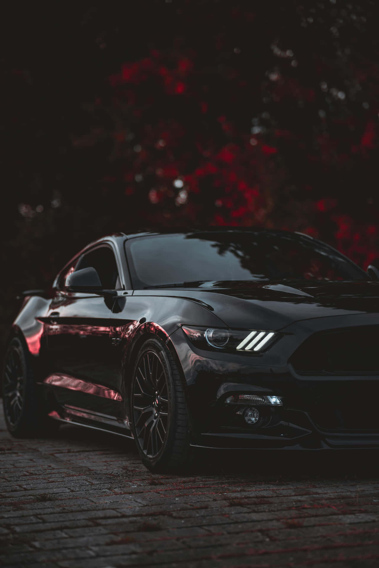 Sleek Black Muscle Car Night Wallpaper