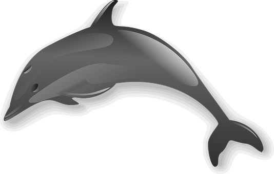 Sleek Gray Dolphin Graphic PNG