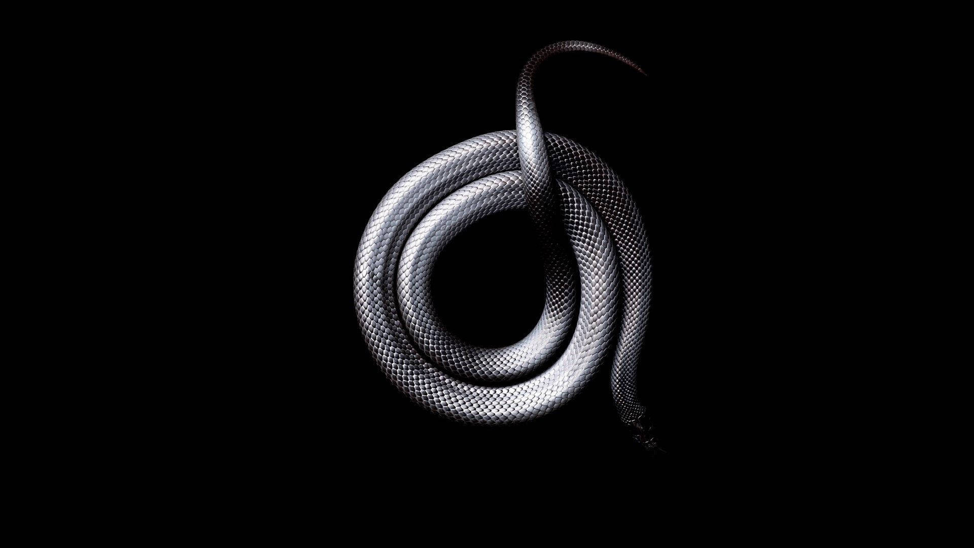 Sleek Scaled Silver Black Snake Wallpaper