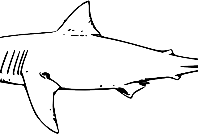 Sleek Shark Silhouette PNG