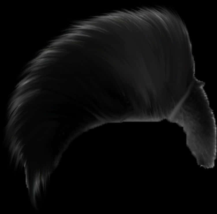 Sleek_ Black_ Hair_ Sweep PNG