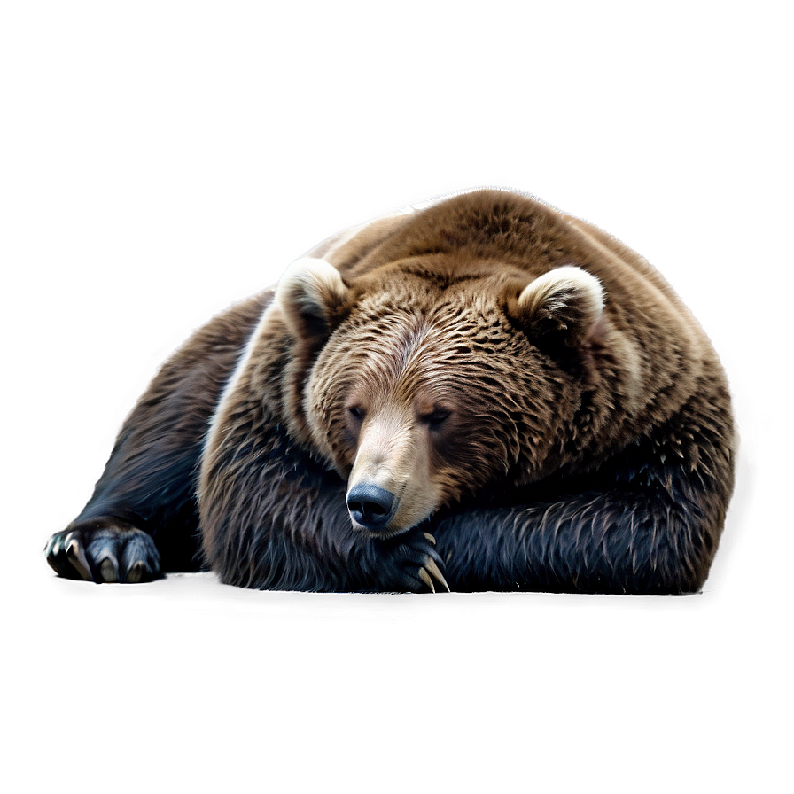 Sleeping Bear Png 78 PNG