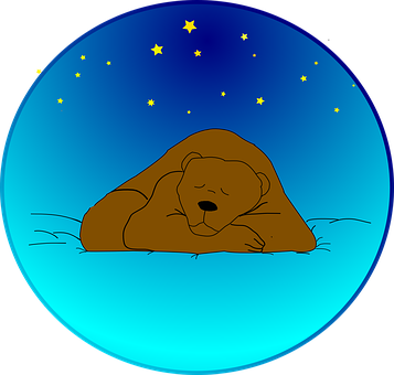 Sleeping Bear Under Starry Sky PNG