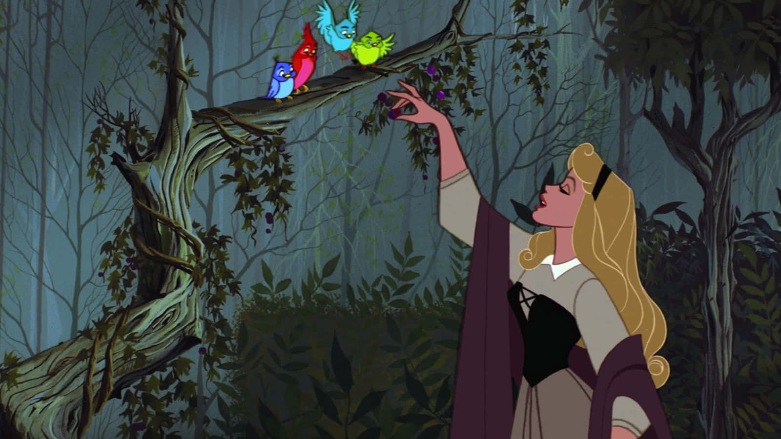 A Princess Is Reaching Out To A Bird