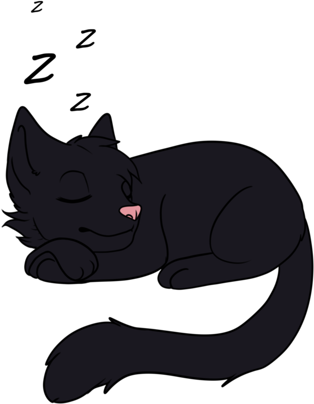 Sleeping Black Cat Cartoon PNG