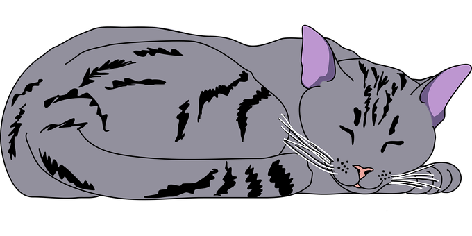 Sleeping Black Cat Illustration PNG