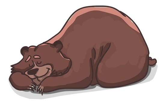 Sleeping Brown Bear Illustration PNG