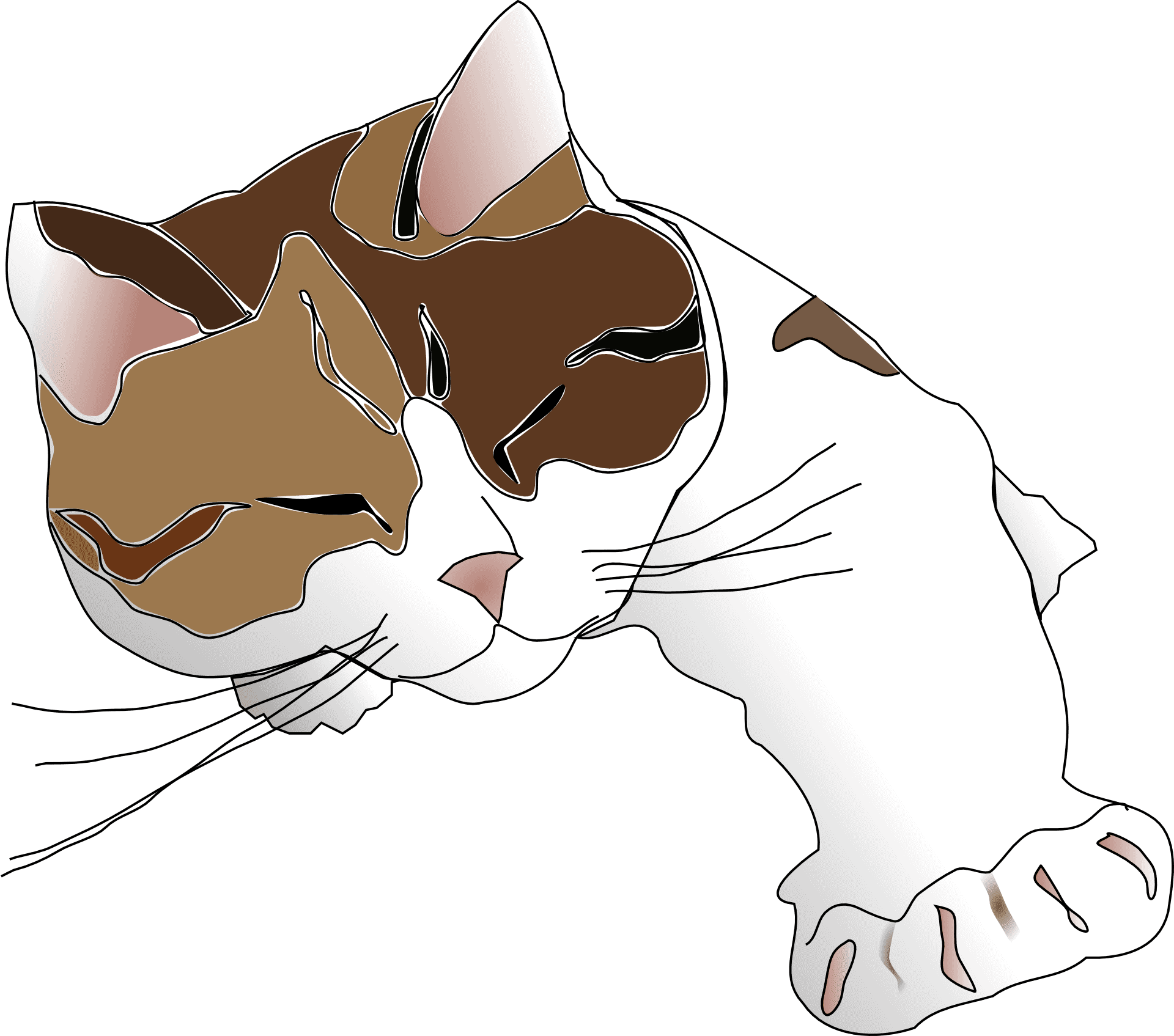 Sleeping Calico Cat Illustration PNG