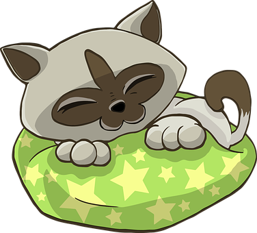 Sleeping Cartoon Caton Star Pillow PNG