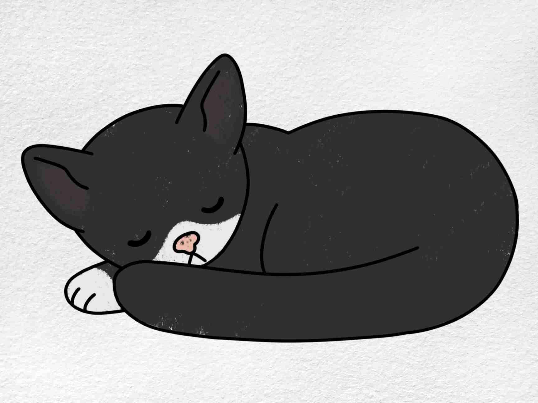 A Black Cat Is Sleeping On A White Background