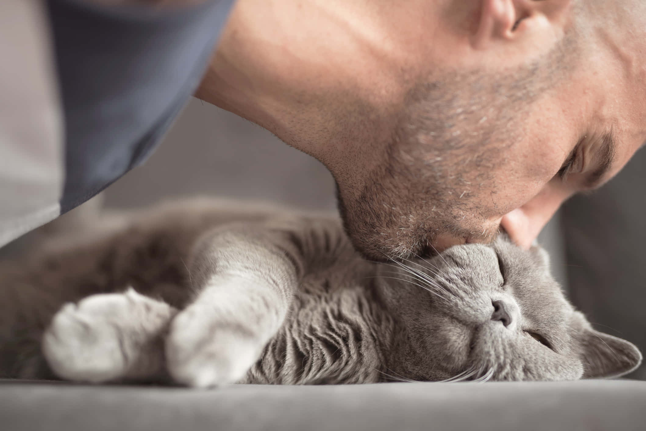 A Man Kissing A Cat