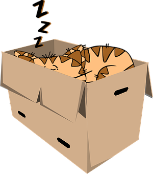 Sleeping Catin Cardboard Box PNG