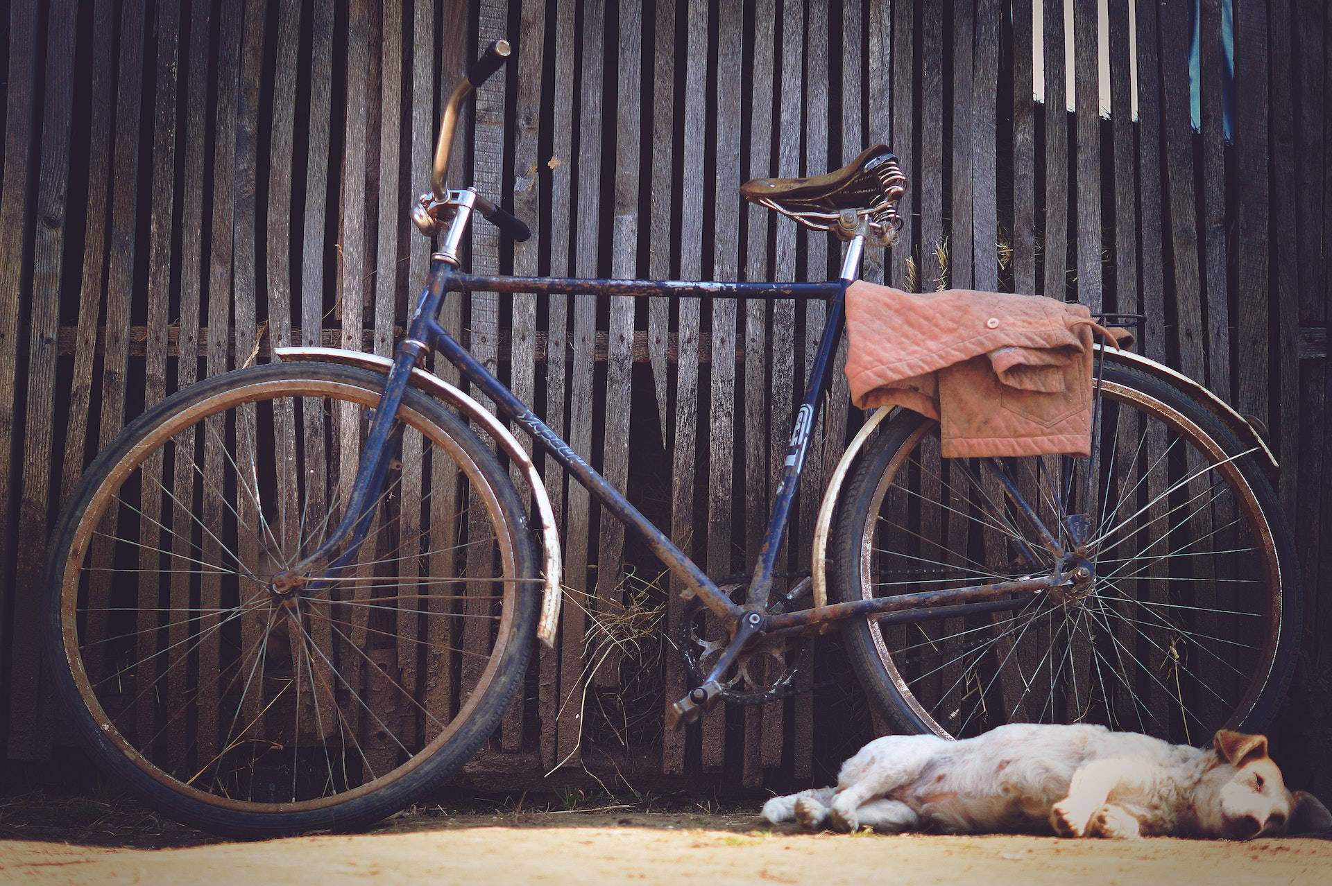 Sleeping Dog Beside A Bicycle Wallpaper