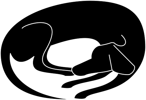 Sleeping Dog Silhouette Outline.jpg PNG