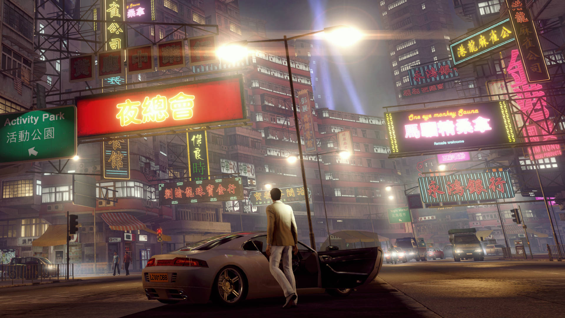 Sleeping Dogs Action Game Background