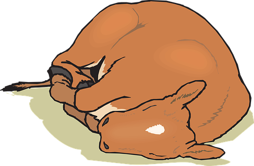 Sleeping Fawn Illustration PNG