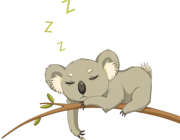 Sleeping Koala Cartoon PNG