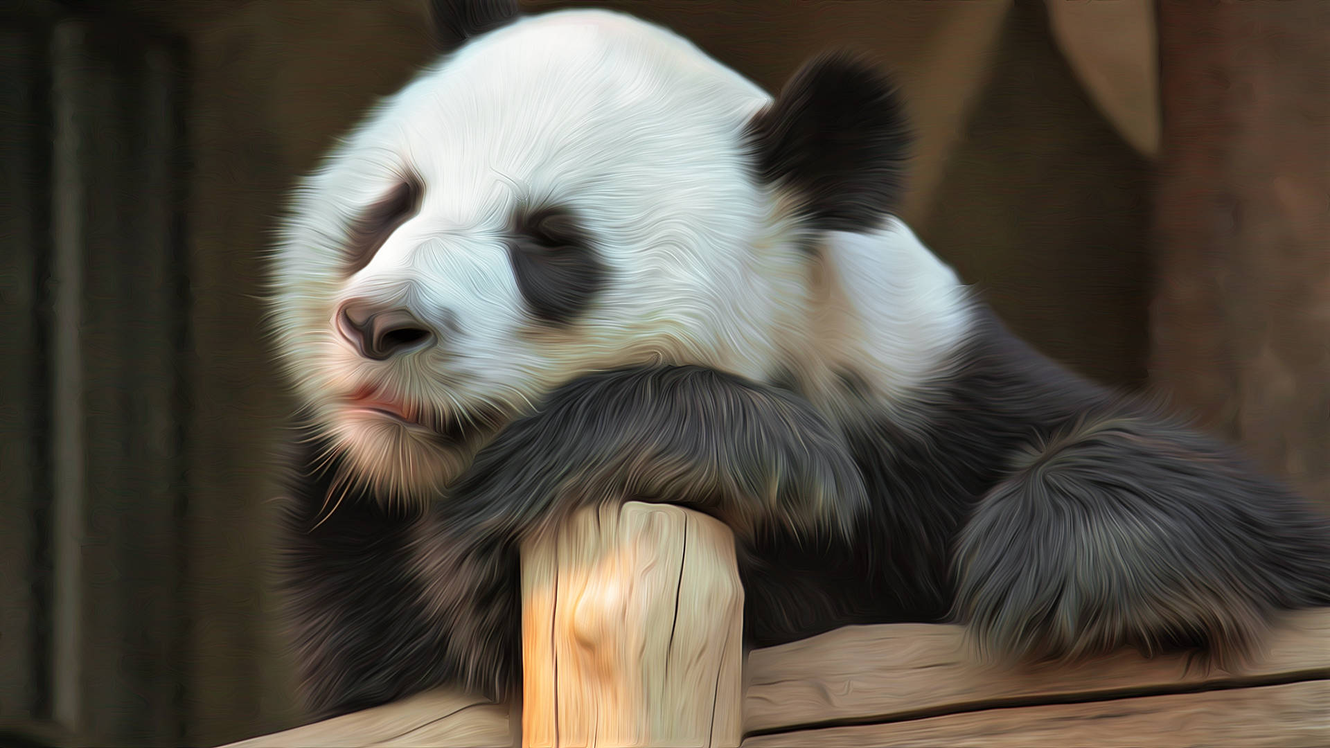 Sleepy Beautiful Panda Stump Wallpaper