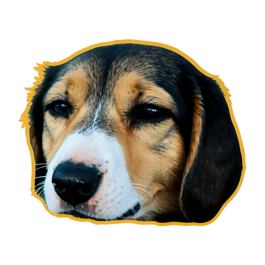 Sleepy Dog Transparent Png Joh15 PNG