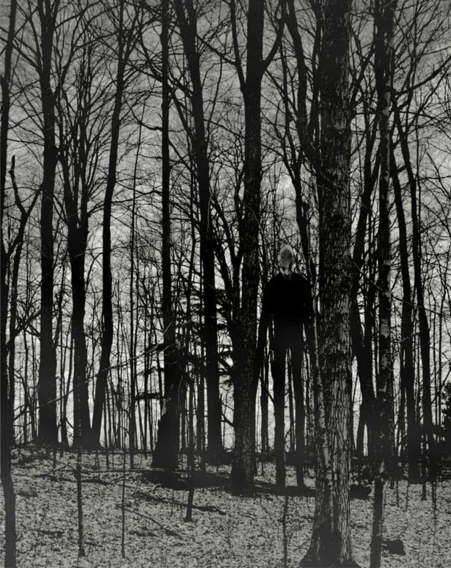 Slender Man Hiding Woods Forest Picture