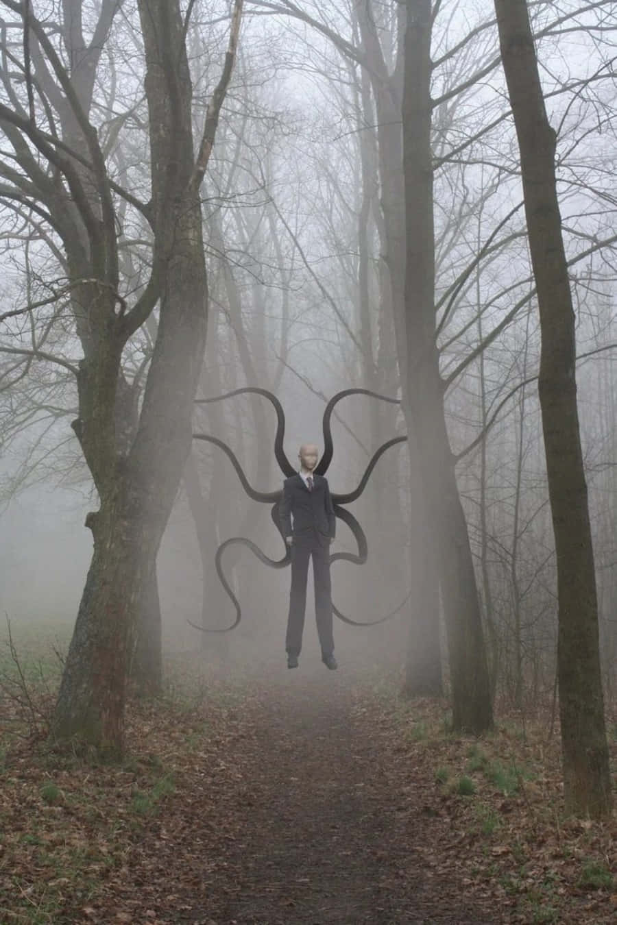 Tentacles Slender Man Nice Forest Picture