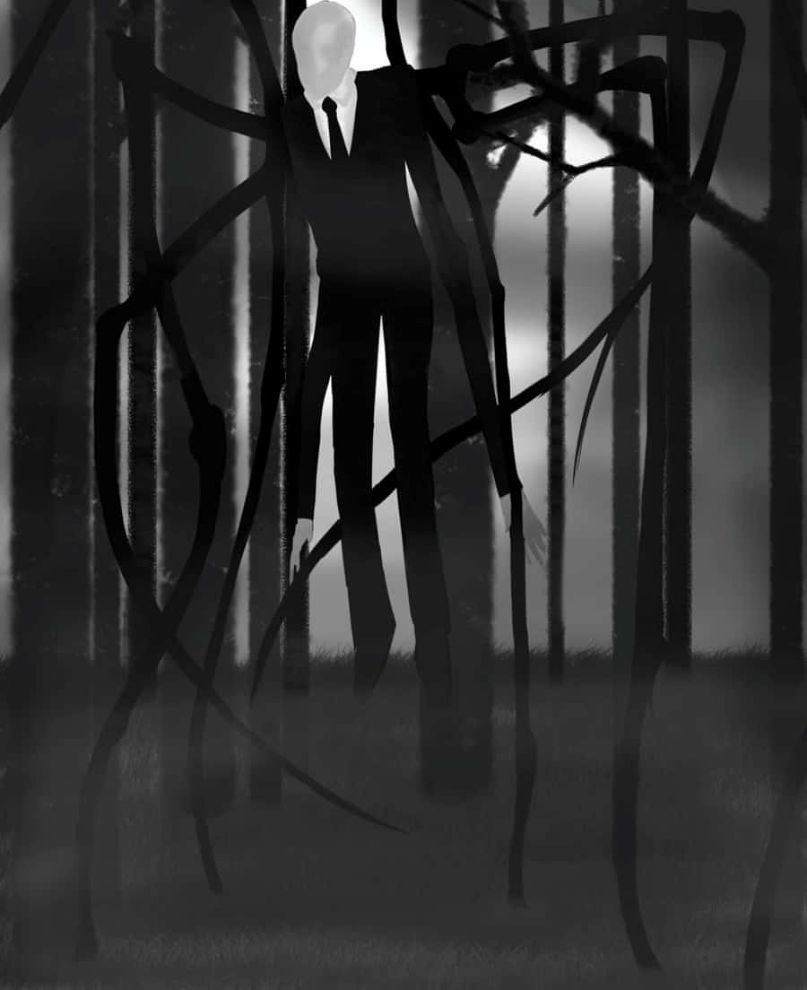 Slender Man Tall Trees Hiding Picture
